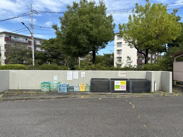 の-の画像