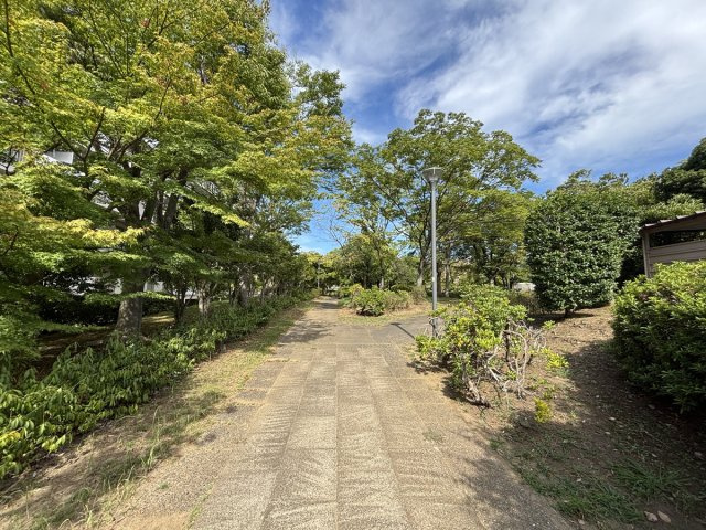 の-の画像