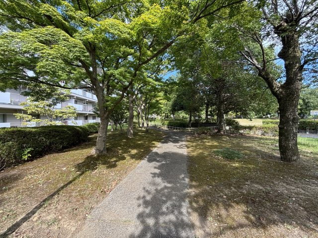 の-の画像