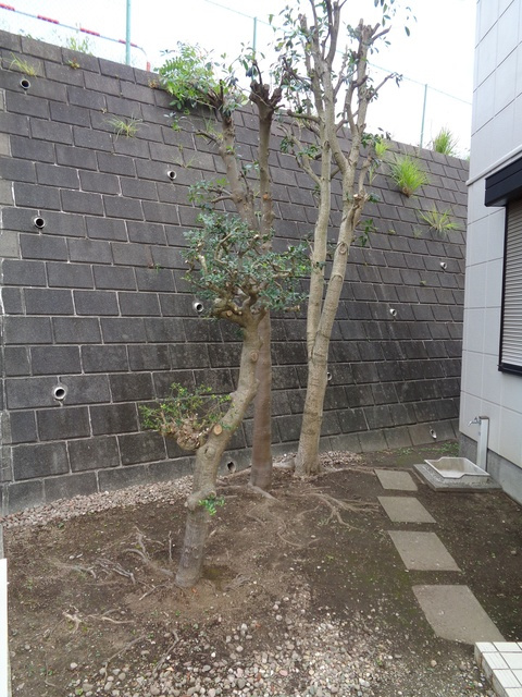 アバンテ　野庭のその他共用部分|木々などキレイに手入れしてあります。