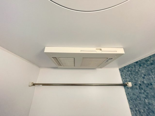 ジプソフィラのその他