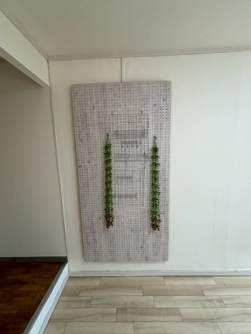 ヒルズ鶴間の内装