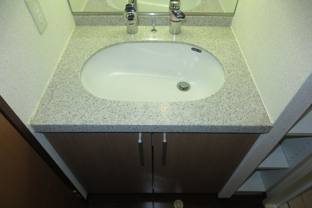 マスターズ・レジデンス道頓堀Ⅱの洗面所