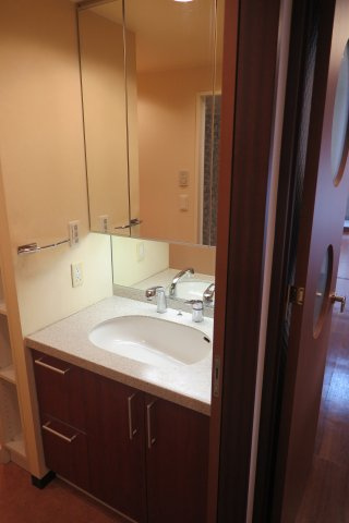 マスターズ・レジデンス道頓堀Ⅱの洗面所