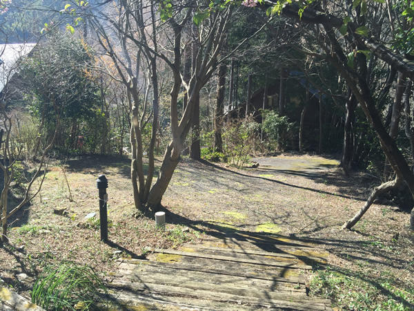 伊豆市　冷川の庭|庭