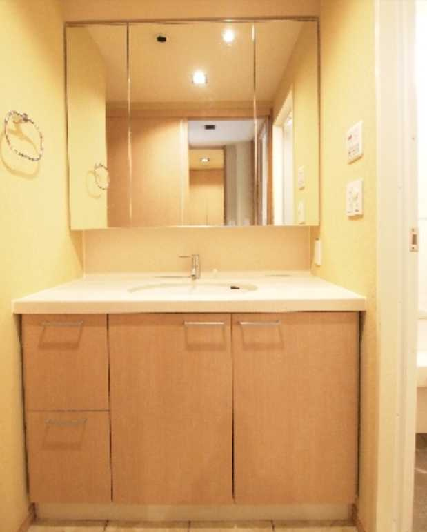 エスティメゾン銀座　駅近　ペット相談可　オートロックの洗面所