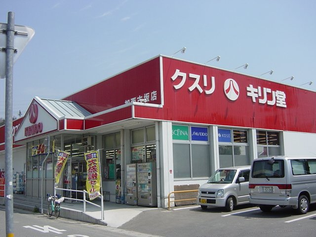 エーデルハイムの周辺|薬局キリン堂まで750ｍ