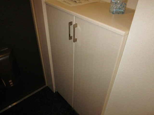 ワイズ　パラシオンの収納|下駄箱