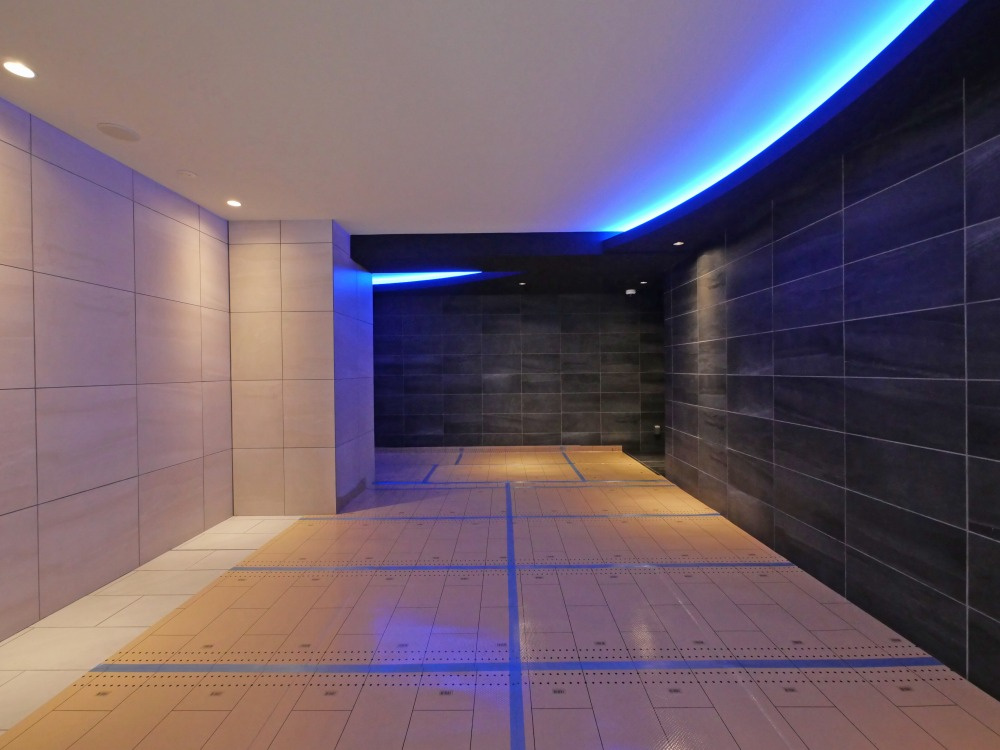 大阪市浪速区日本橋東１丁目の賃貸マンションのロビー