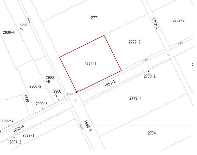 【土地図】 | 公図抜粋