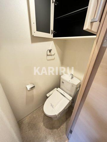 スプランディッド野江のトイレ