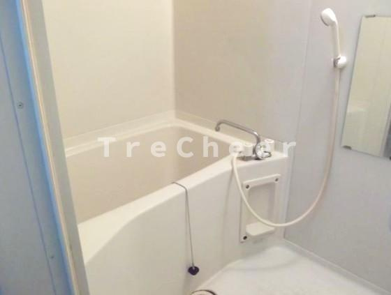 クリオコート21(CLIO COURT 21)の浴室