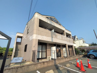 Purple　Roseの画像