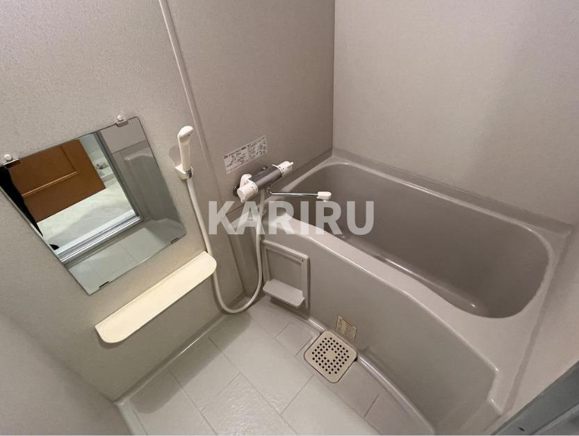 Casa Despacioの浴室