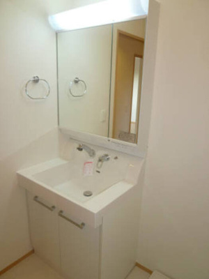  | イエロー アイリス Ｂ | 忙しい朝にも便利な洗髪洗面化粧台です。