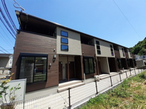 アベリアの画像