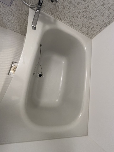 バス