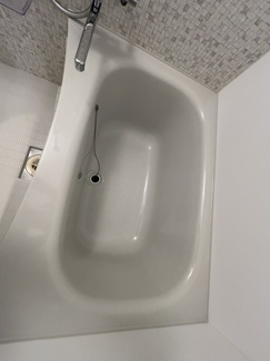 バス