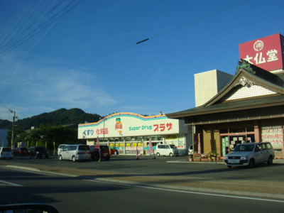 【周辺】 | フォレストヴィラⅢ | スーパードラッグプラザ氷上店まで1,573ｍ