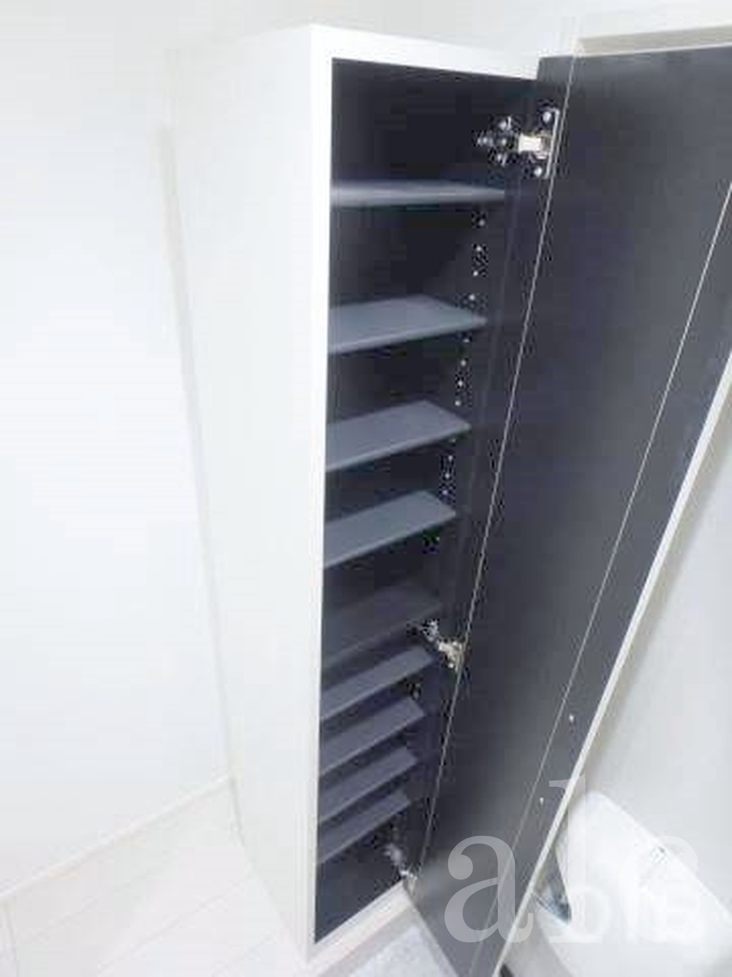 Stage大和町Ⅱの玄関|姿見鏡・シューズボックス
