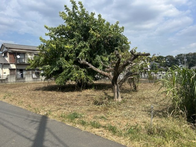 【外観】 | 土浦市乙戸売地