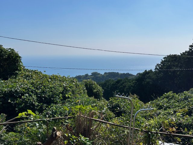 東伊豆町　熱川台の展望