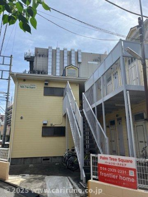 【展望】 | パームツリースクエア