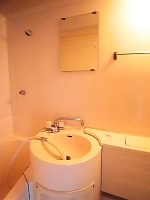 リバーハイツの洗面所