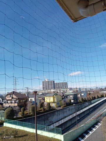 【展望】の画像