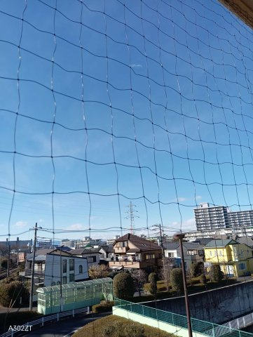 【その他】の画像