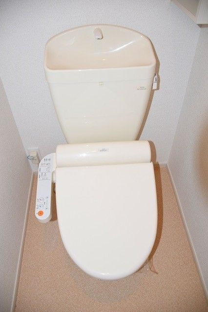 ルピナスＣ　　刈谷市近郊の賃貸ならクラスホーム刈谷店のトイレ