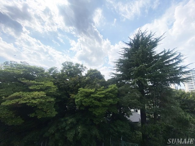 レジデンスサルバトーレの展望