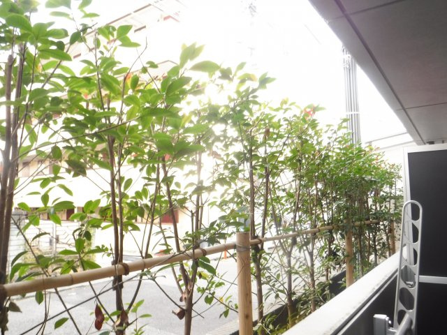 MK今井仲町の展望