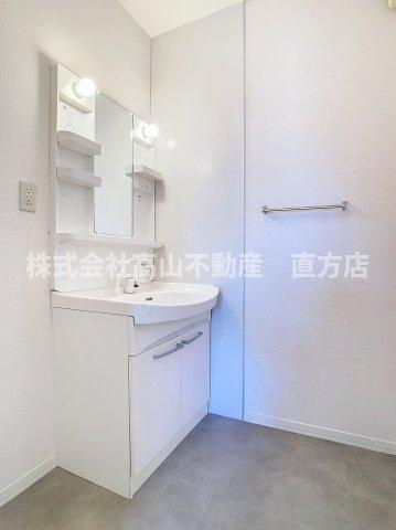 スクーデリア2007　A棟の洗面所