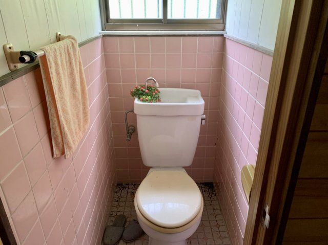 鹿児島市吉野町の中古一戸建のトイレ|落ち着いたトイレです