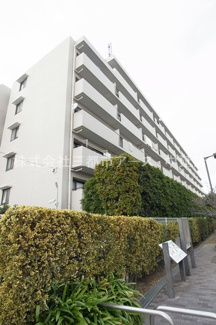 【外観】 | ステラメゾン武蔵小山　は三都市アース中延店へお任せください！