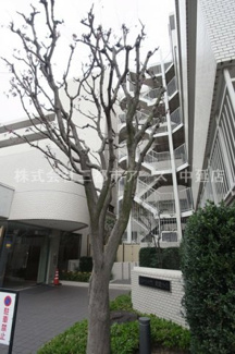 【周辺】 | ステラメゾン武蔵小山　は三都市アース中延店へお任せください！
