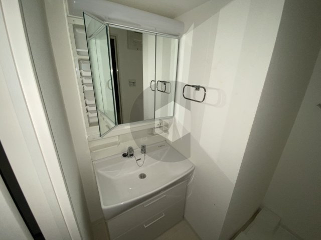 コージーコート6の独立洗面台