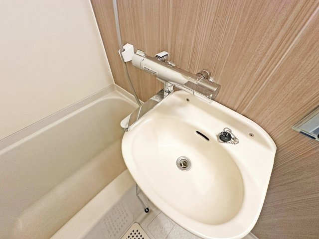 エクセレントハイツ・Sの洗面所