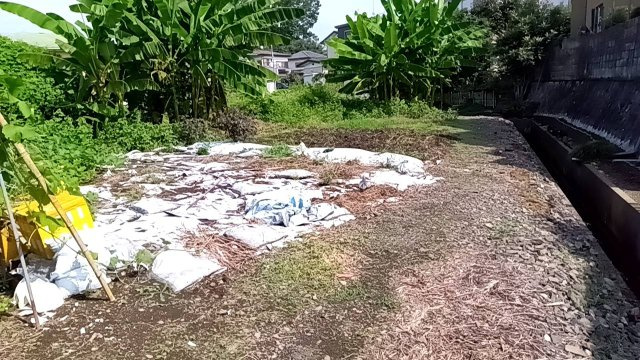 真岡市八木岡のその他