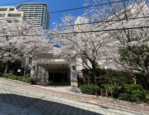 【外観】 | ご自宅から現地まで、当社スタッフがお車にて、「お迎え・お送り」をしております。ぜひお気軽にお問い合わせくださいませ♪