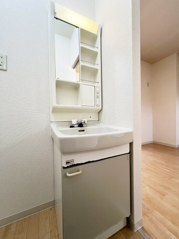 パークビレッヂＥの洗面所