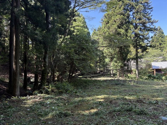 【外観】 | 東急天城高原別荘地　売地