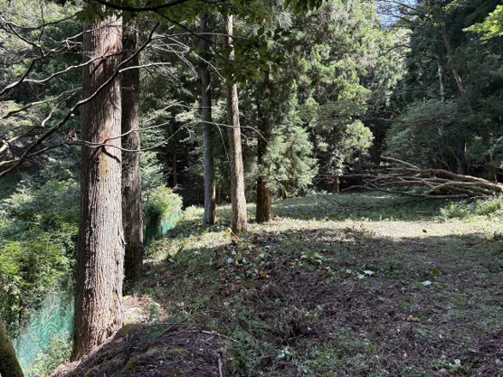 【外観】 | 東急天城高原別荘地　売地