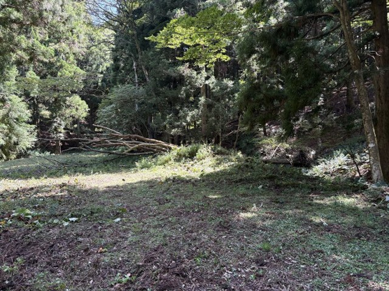 【外観】 | 東急天城高原別荘地　売地