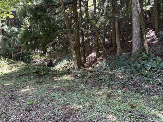 【外観】 | 東急天城高原別荘地　売地