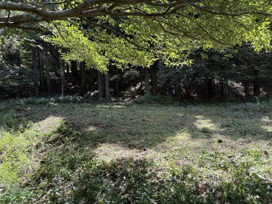 【外観】 | 東急天城高原別荘地　売地