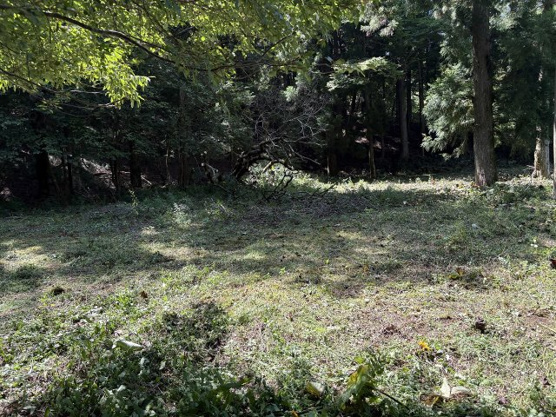 【外観】 | 東急天城高原別荘地　売地