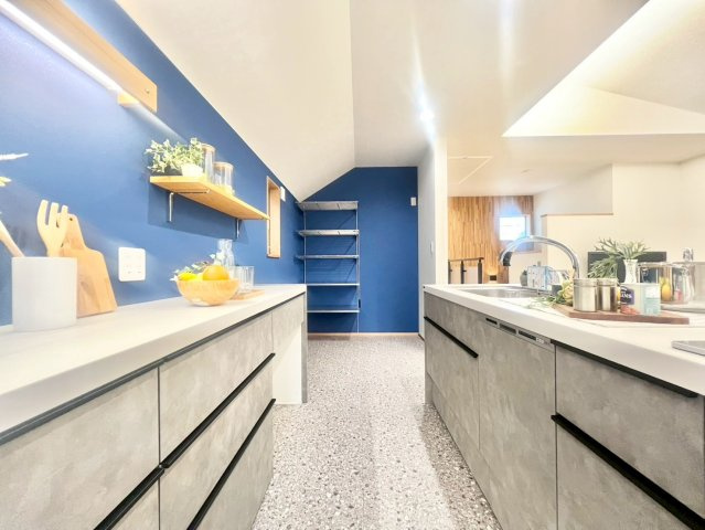 杉並区上荻3丁目　新築戸建のキッチン|ビルトインタイプの食洗機付き！家事の時間と、手洗いに比べて使用水量も軽減します！(2025.09.18撮影)

ご内見希望・資料請求などお気軽にお問い合わせ下さい！
03-5990-5201