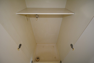 ウィンベル・ソロ立花のその他